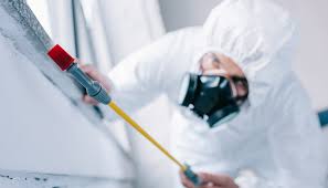 Pest Control for Hotels in Mims, FL